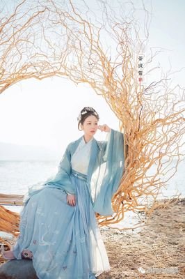 宣华录读后感100字