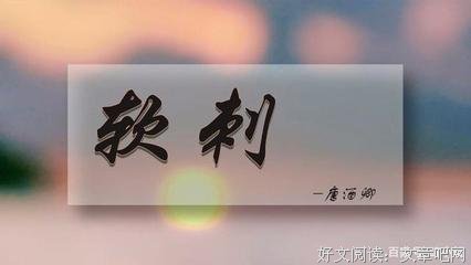 软刺的读后感大全