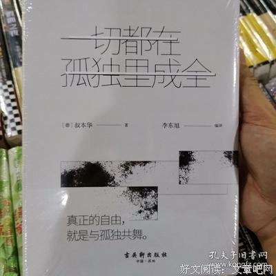 一切都在孤独里成全：叔本华的人生智慧经典读后感有感