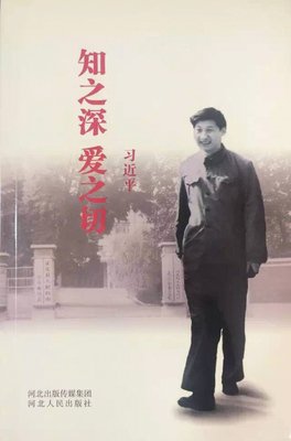 凝视太阳读后感精选