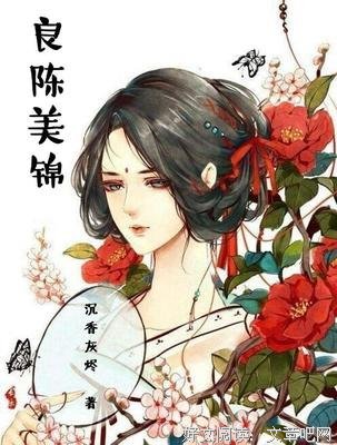《良陈美锦·终章》读后感精选
