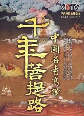 《千年菩提路》经典观后感1000字