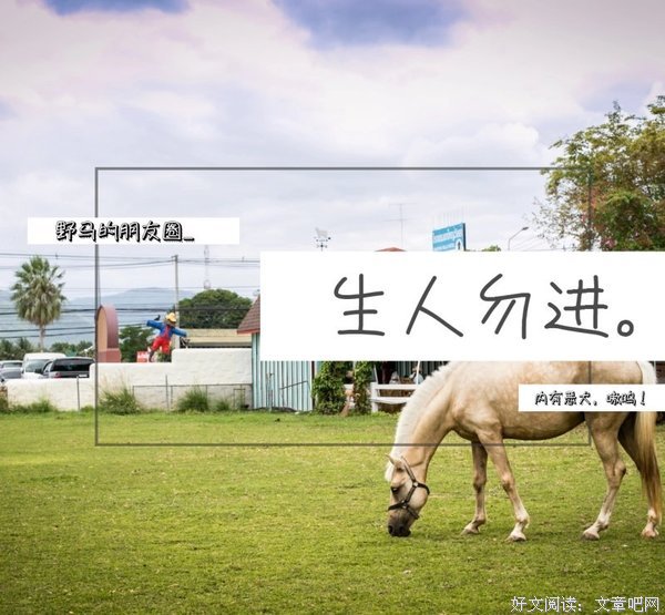 《生人勿进(美版)》影评100字