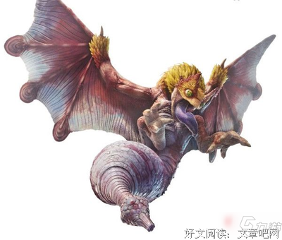 中国鸟类图鉴读后感锦集