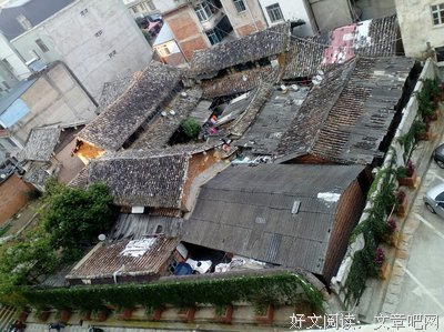 《普洱茶记》读后感锦集