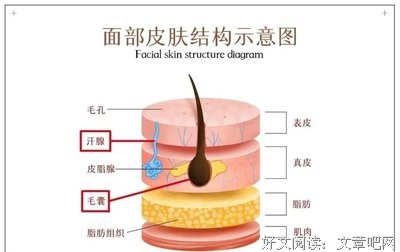 《女孩冲冲冲》好看吗？经典影评锦集