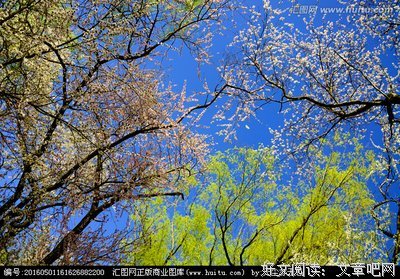 《春之语》经典影评1000字