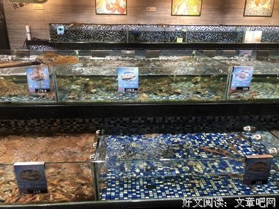 《美是一种感觉》的句子
