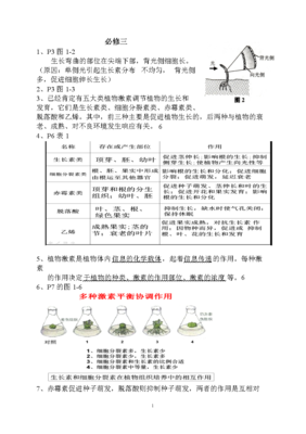 有关酸的句子