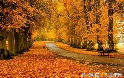 不开零开呢夫的异要想着而生样别可经典名句