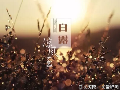 最新的爱雨菲名言