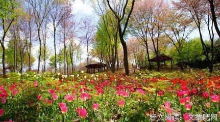 最经典的《声声慢》经典名句大全
