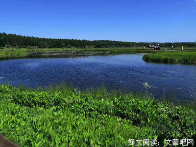 最全的《大宗师》经典名句