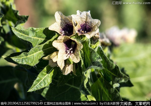 最经典的《天仙子》经典名句