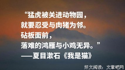 最新的《好小猫》好段摘抄大全