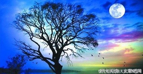 最全的《好想你》经典语录大全