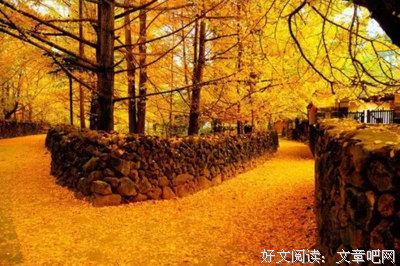 《给亲爱哥哥的信》经典观后感有感