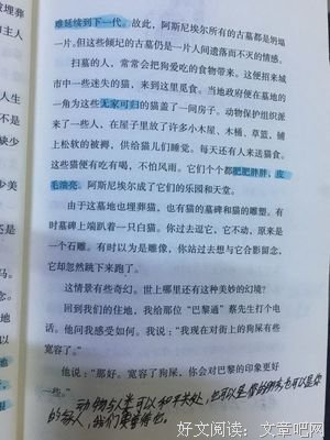《生命是什么》读后感锦集