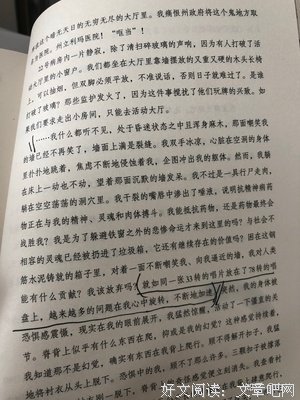 《24个比利》读后感100字
