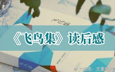 我的身体里早已落叶纷飞读后感100字