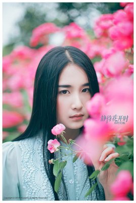 蔷薇花与十字架读后感100字
