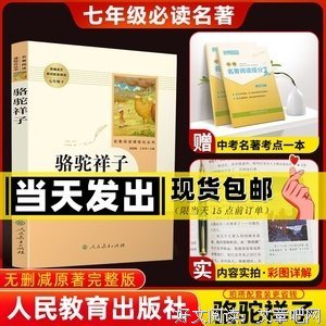那些钱解决不了的事经典读后感有感