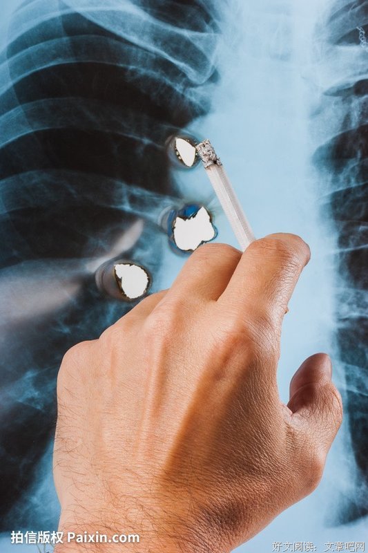 《死亡照相术》的影评大全