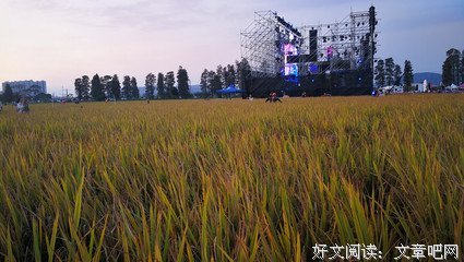 梦屿南笙好词好句