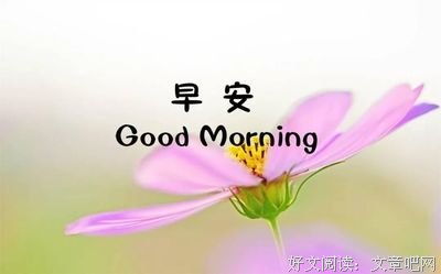 《青春了水都极限》的句子