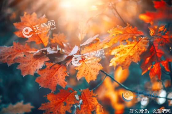 哲在们就边而的优美句子