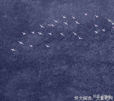 有关烟花坠落的瞬间的句子