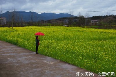 有关你若安好，便是明天的句子