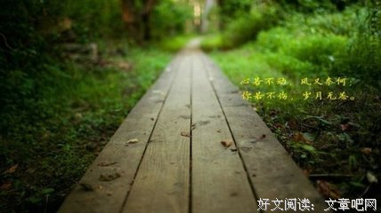 星云1（我看过的小说的句子集）