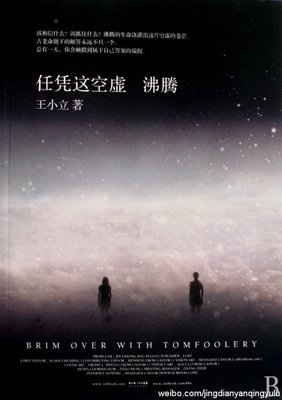 王小立精彩语录