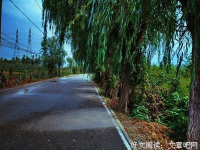 最新的《孺子帝》经典语句大全