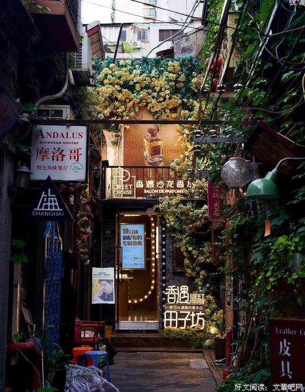 最新的《安和桥》经典的句子