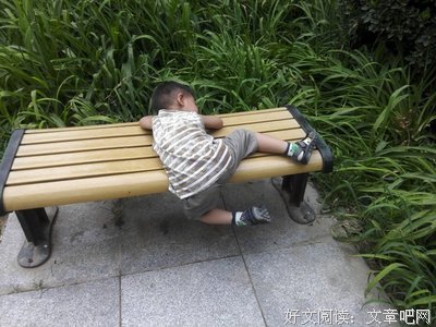 最新的《宝宝树》经典语句