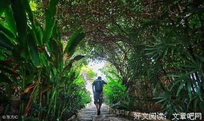 汪曾祺语录
