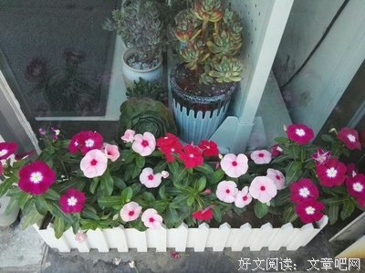 海的墙名句欣赏
