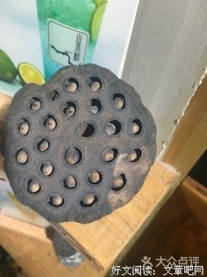《山木枝》好段摘抄大全