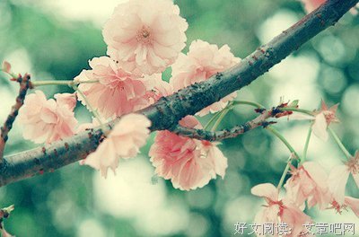 《微语录》语录摘抄大全