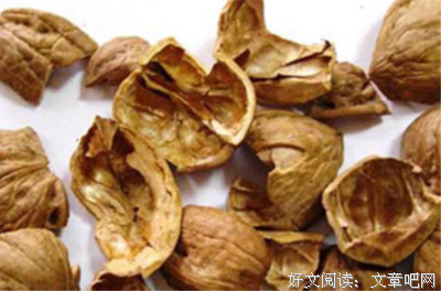 《坚果壳》经典读后感有感