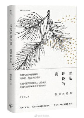 《雪是谁说的谎：倪湛舸诗集》读后感精选