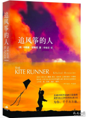 《寻圣光的人》读后感100字