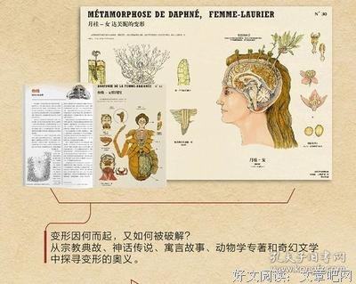 《超自然变形动物图鉴》读后感锦集
