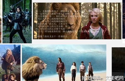 马：永远的传奇读后感锦集
