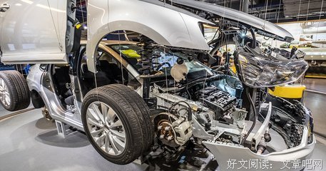 《人类简史》读后感锦集