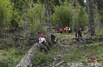 闲庭信步的名句_关于闲庭信步的名句