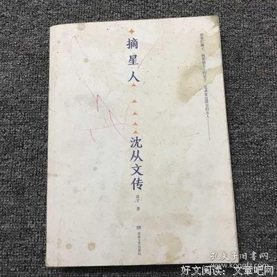 摘星人：沈从文传经典读后感有感