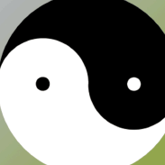 《融创孙宏斌：成大事者不纠结》读后感精选